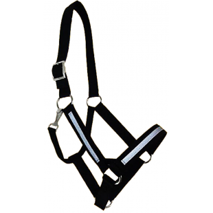 Licou nylon réfléchissant
