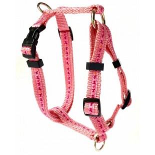 Harnais ajustable 5/8'' à motifs Étoiles pour...