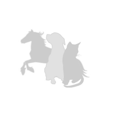 Harnais ajustable 3/8'' pour chien petit