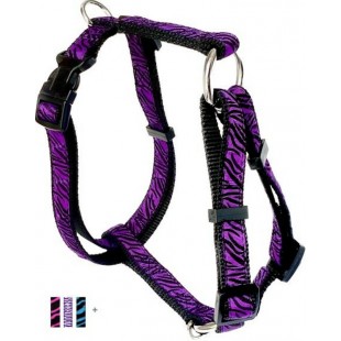 Harnais ajustable 3/4'' à motifs Zébré pour...