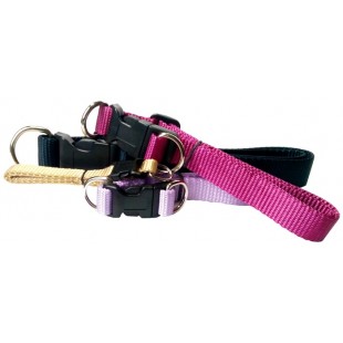 Collier ajustable avec boucle de plastique 1''