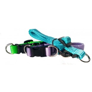 Collier ajustable avec boucle de plastique 5/8''