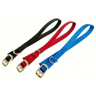 Collier simple avec boucle style ceinture 5/8'' X 10''