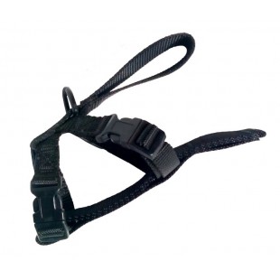 Harnais d'auto ajustable X-Petit à Grand