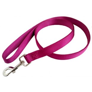 Laisse double épaisseur de nylon 1'' X 48''