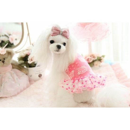 Robe Kitty pour chien