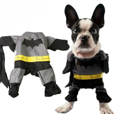costume Batman pour chien