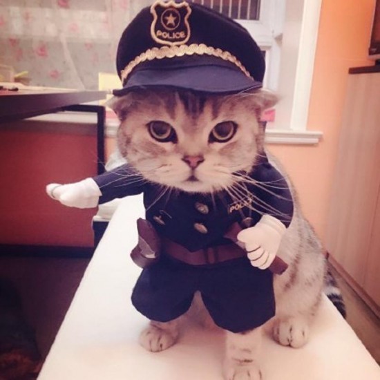 Costume Policier pour chien et chat