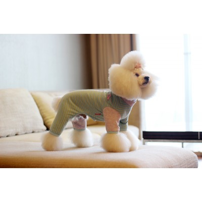 Pyjama Sweet Teddy pour chien