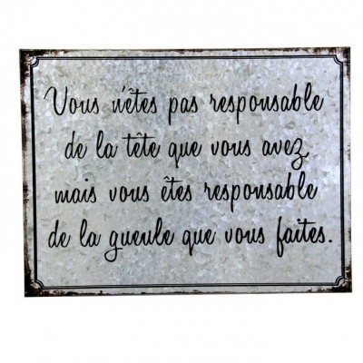 Enseigne en métal Vous n'êtes pas responsable...