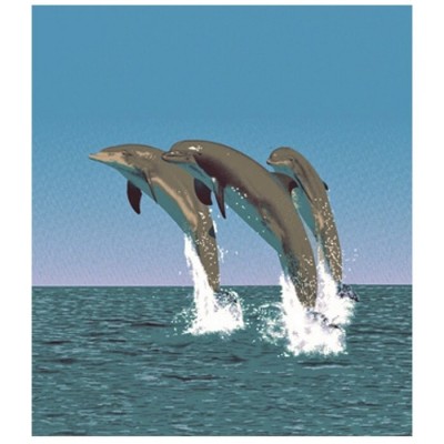 Couverture Dauphins en peluche