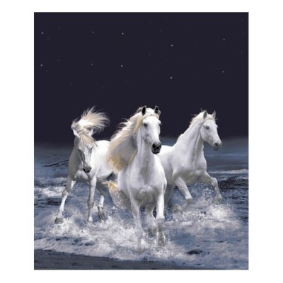 Couverture Chevaux blanc en peluche