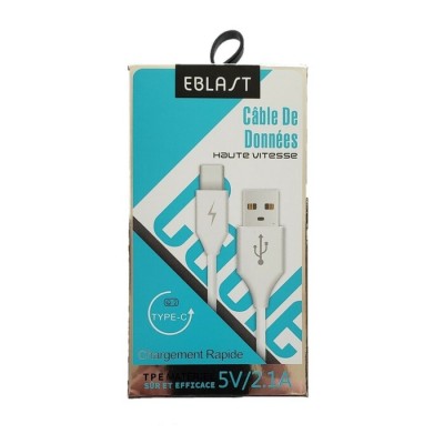 Câble Type C charge rapide 3 pieds