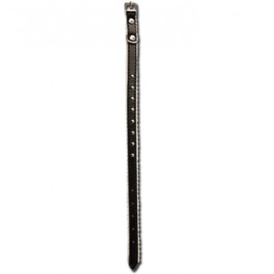 Collier pour chat 12'' 3/8'' noir