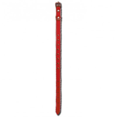 Collier pour chat 12'' 3/8'' rouge