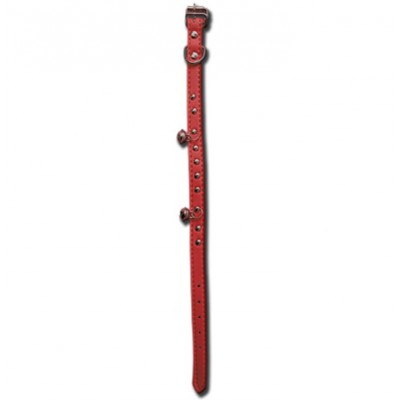Collier pour chat 12'' 1/2'' rouge