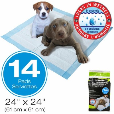 Coussins de dressage pour chiots