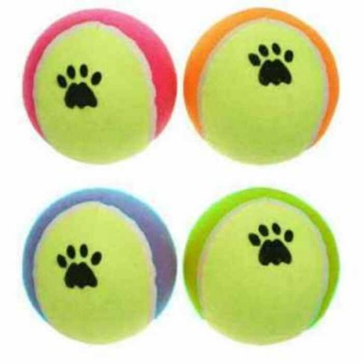 Jouet pour chien Balle Tennis 