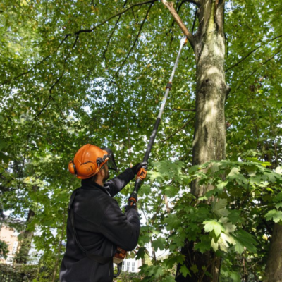 Perche d'élagage Stihl HTA 135 à batterie 
