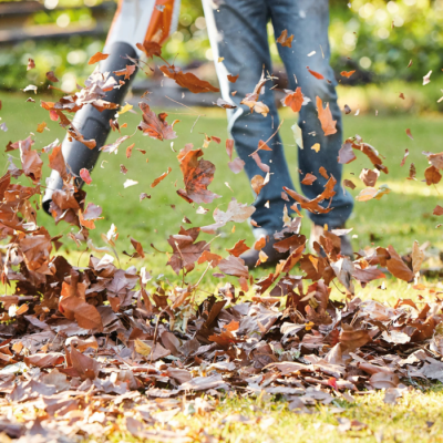 Stihl BGA60 souffleur à feuilles à batterie