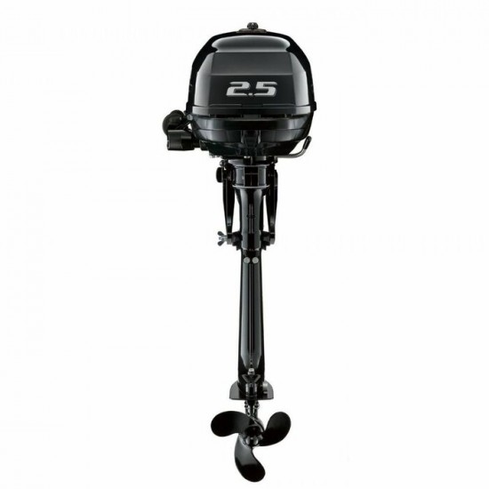 Moteur de bateau Suzuki DF 2.5