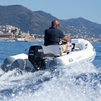 Moteur de bateau Suzuki DF 20AES