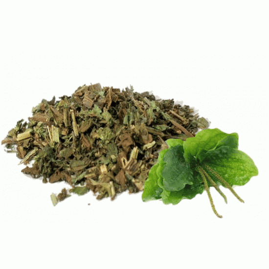 Plantain Majeur feuilles séchées  (Plantago major) 454gr 