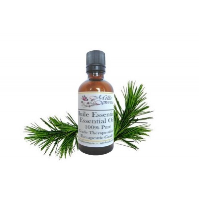 Huile Essentielle Cèdre de l'Himalaya 100ml