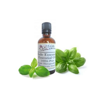 Huile Essentielle Basilic Ocimum basilicum 100ml