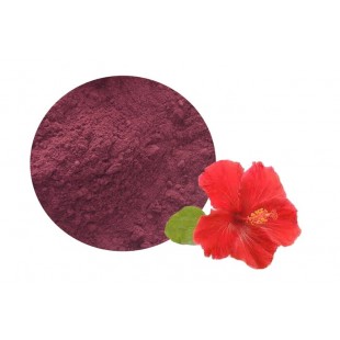 Fleurs d'Hibiscus en poudre (Hibiscus sabdariffa)...