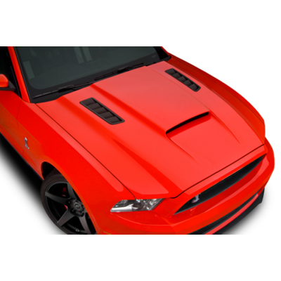 Cervinis Capot Stalker 2013-2014 Mustang GT/V6 + 2010-2014 SHEBLY GT500