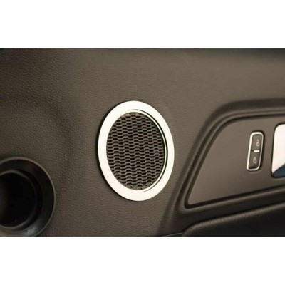 ACC Contour de Haut Parleur en Stainless Polis...