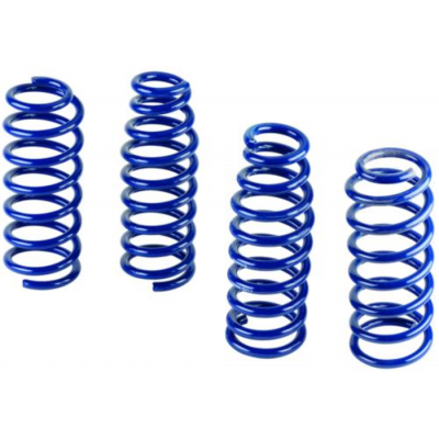 Ford Performance Ressorts Street 2015-2021 Mustang...