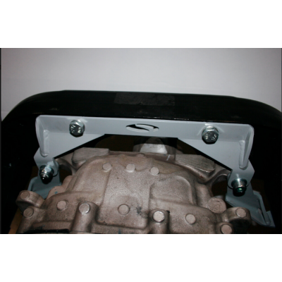 Steeda Support pour Differentiel IRS 2015-2023 Mustang