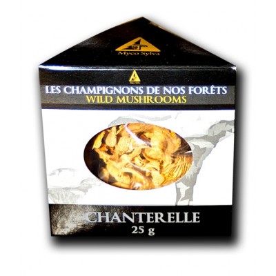 Chanterelle commune