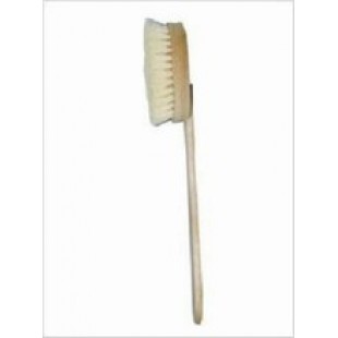 Brosse à sec végétale pour le corps