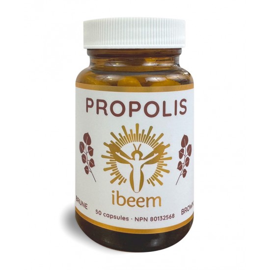 Capsules de Propolis brune de peuplier