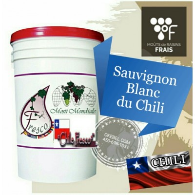 SAUVIGNON BLANC du CHILI - Fresco Chili 2025