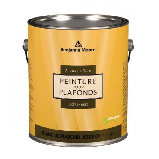 Peinture pour plafonds 946 ML