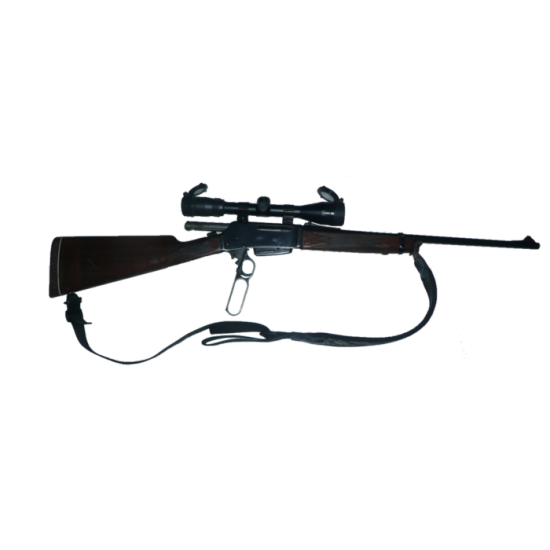 Carabine 