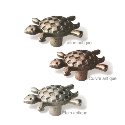 Bouton Tortue - Collection Big Bang