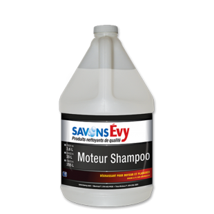 Moteur shampoo 3.6 L