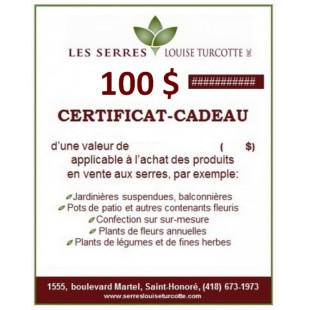 Certificat-cadeau de 100 $