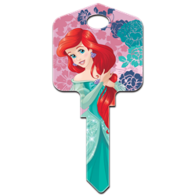 D16 - ARIEL & AMIS