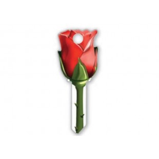 B107 - ROSE