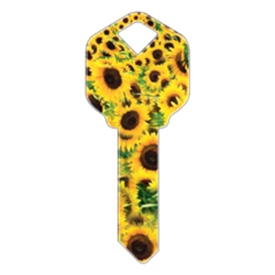 HK14 - TOURNESOLS