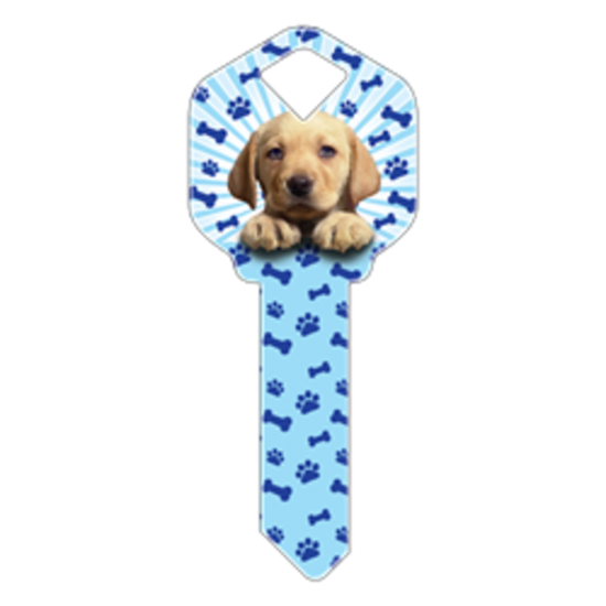 HK30 - CHIENS