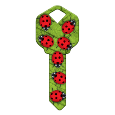 HK51 - COCCINELLES