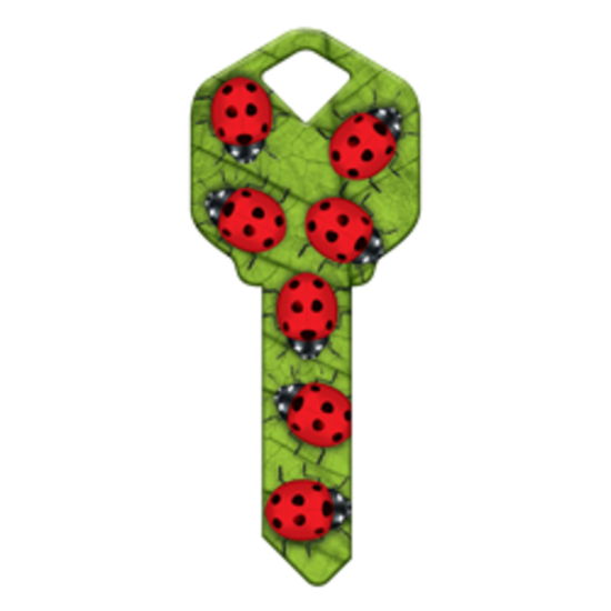 HK51 - COCCINELLES
