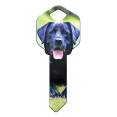 HK59 - CHIEN LABRADOR NOIR